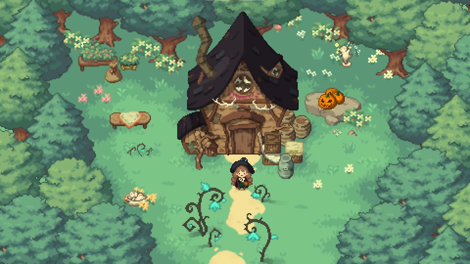 A screenshot from Little Witch in the Woods.